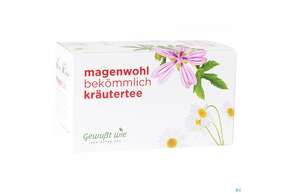 Gewusst Wie Tee/beutel Magenwohl 20st, A-Nr.: 4622767 - 01