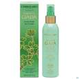 L Erbolario Koerperlotion Albero Di Giada Jade 026.2 200ml, A-Nr.: 5167762 - 02