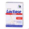 Sie sehen eine Packung Lactase Tabl 7.000 Fcc 80st, Produktbild: 02 Lactase Tabl 7.000 Fcc 80st, A-Nr.: 5296241 - 02