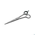 Scheren Canal Rostfrei Haarschere 17cm 1021- 1st, A-Nr.: 4881575 - 01