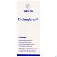 Choleodoron Tropfen Z Einnehmen 50ml, A-Nr.: 2274405 - 01