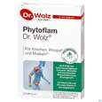 Dr.wolz Phytoflam Kapseln 60655 60st, A-Nr.: 5862574 - 02