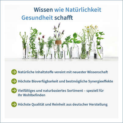 Sie sehen eine Packung NatuGena LipoVitamine 1000 Tropfen, Produktbild: 05 NatuGena LipoVitamine 1000 Tropfen, A-Nr.: 5404280 - 05