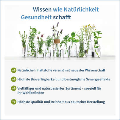 Sie sehen eine Packung NatuGena LipoVitamine 1000 Vegan, Produktbild: 05 NatuGena LipoVitamine 1000 Vegan, A-Nr.: 5901297 - 05