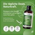 Sie sehen eine Packung Rosmarin Shampoo mit Biotin, Produktbild: 08 Rosmarin Shampoo mit Biotin, A-Nr.: 5829743 - 08