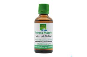 Gemmo Mazerat Schneeball/wollig Viburnum Lantana Phytopharma 50ml, A-Nr.: 3107247 - 01
