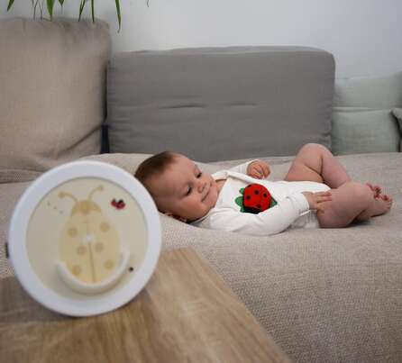 MARY by sticklett - der Vorsorge Käfer, A-Nr.: 5977550 - 02