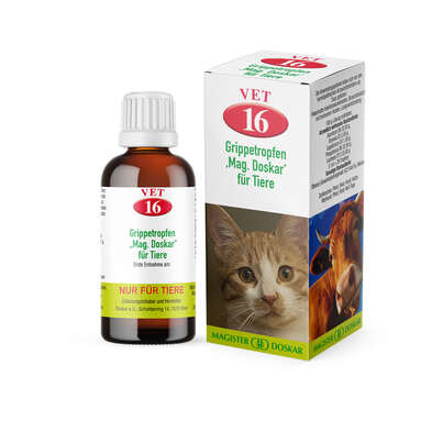 Sie sehen eine Packung Magister Doskar VET Nr. 16 Grippetropfen für Tiere, Produktbild: 01 Magister Doskar VET Nr. 16 Grippetropfen für Tiere, A-Nr.: 1299610 - 01