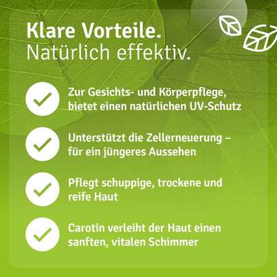 Karotten Öl, A-Nr.: 5807523 - 04