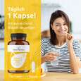 Sie sehen eine Packung R(h)ein Nutrition Vitamin C + D3 + Zink Immunsystem Ultra Kapseln, Produktbild: 04 R(h)ein Nutrition Vitamin C + D3 + Zink Immunsystem Ultra Kapseln, A-Nr.: 5987270 - 04