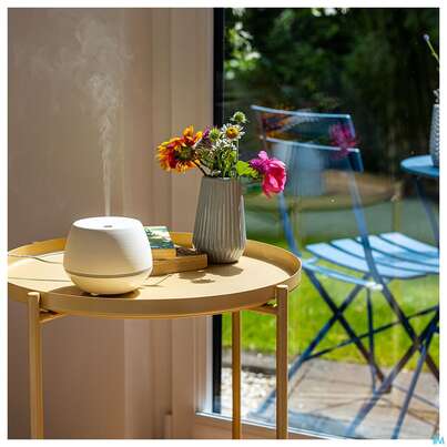 Taoasis Taowell Ambiente 1st, A-Nr.: 5682122 - 03