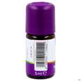 Taoasis Schlaf Gut Kids Duftkomposition Bio 5ml, A-Nr.: 5908626 - 04