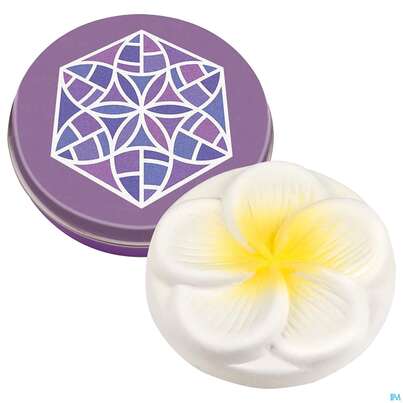 Taoasis Minidose Bluete Mit Duftstein Frangipani (ve 10) 1st, A-Nr.: 4558911 - 02
