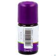 Taoasis Erkaeltungsduft Kids Duftkomposition Bio 5ml, A-Nr.: 5908632 - 02