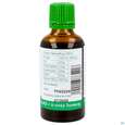 Sie sehen eine Packung Efeu Tinktur Hedra Helix Phytopharma 50ml, Produktbild: 04 Efeu Tinktur Hedra Helix Phytopharma 50ml, A-Nr.: 5893853 - 04