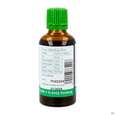 Sie sehen eine Packung Efeu Tinktur Hedra Helix Phytopharma 50ml, Produktbild: 03 Efeu Tinktur Hedra Helix Phytopharma 50ml, A-Nr.: 5893853 - 03