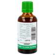 Sie sehen eine Packung Bittergurke Tinktur Phytopharma 50ml, Produktbild: 04 Bittergurke Tinktur Phytopharma 50ml, A-Nr.: 3451275 - 04