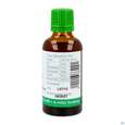 Sie sehen eine Packung Bittergurke Tinktur Phytopharma 50ml, Produktbild: 03 Bittergurke Tinktur Phytopharma 50ml, A-Nr.: 3451275 - 03