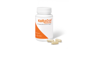 KaRaDol magensaftresistente Kapseln 60 Stk., A-Nr.: 5882424 - 01