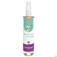 Taoasis Raumspray Erkaeltungsduft Kids Demeter 50ml, A-Nr.: 5998612 - 02