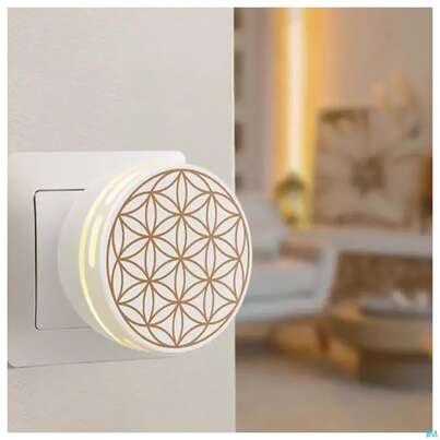 Sie sehen eine Packung Primavera Duftstecker Easy Fuer Die Steckdose 1st, Produktbild: 05 Primavera Duftstecker Easy Fuer Die Steckdose 1st, A-Nr.: 5907294 - 05