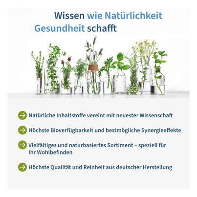 Sie sehen eine Packung NatuGena Bio 7+6 Kräuter Pulver, Produktbild: 05 NatuGena Bio 7+6 Kräuter Pulver, A-Nr.: 5989754 - 05
