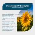Sie sehen eine Packung NatuGena Phospholipid 4+1 Komplex Kapseln, Produktbild: 02 NatuGena Phospholipid 4+1 Komplex Kapseln, A-Nr.: 6011921 - 02
