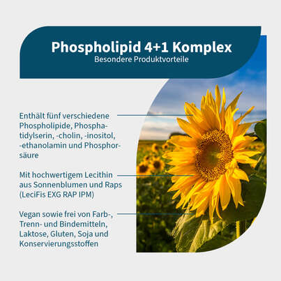 Sie sehen eine Packung NatuGena Phospholipid 4+1 Komplex Kapseln, Produktbild: 02 NatuGena Phospholipid 4+1 Komplex Kapseln, A-Nr.: 6011921 - 02