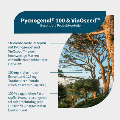 Sie sehen eine Packung NatuGena Pycnogenol® 100 & VinOseed™ Kapseln, Produktbild: 02 NatuGena Pycnogenol® 100 & VinOseed™ Kapseln, A-Nr.: 5990119 - 02
