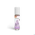 Taoasis Baldini Roll On Buddhaduft Bio 10ml, A-Nr.: 5384086 - 01