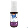 Taoasis Raumspray Schlaf Gut Mini Demeter 10ml, A-Nr.: 4361982 - 02