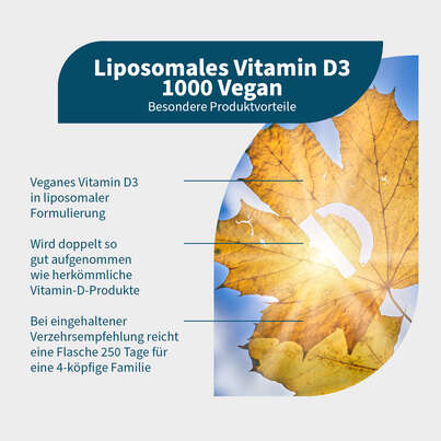 Liposomales Vitamin D3 1000 Vegan Tropfen, A-Nr.: 5926742 - 02