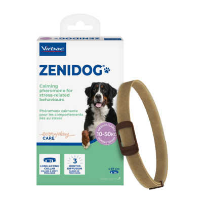 Sie sehen eine Packung Zenidog Halsband für mittelgroße und große Hunde von 10 bis 50 kg, Produktbild: 01 Zenidog Halsband für mittelgroße und große Hunde von 10 bis 50 kg, A-Nr.: 6028092 - 01