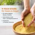 Sie sehen eine Packung Dr. Böhm Haut Haare Nägel Schönheitskur, Produktbild: 03 Dr. Böhm Haut Haare Nägel Schönheitskur, A-Nr.: 5052154 - 03