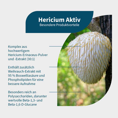 Sie sehen eine Packung NatuGena HericiumAktiv Kapseln, Produktbild: 02 NatuGena HericiumAktiv Kapseln, A-Nr.: 5699223 - 02