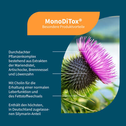 Sie sehen eine Packung NatuGena MonoDiTox Kapseln, Produktbild: 02 NatuGena MonoDiTox Kapseln, A-Nr.: 5178300 - 02