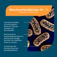 Sie sehen eine Packung NatuGena MitochondrienAktivator 44+14 Kapseln, Produktbild: 02 NatuGena MitochondrienAktivator 44+14 Kapseln, A-Nr.: 5901185 - 02