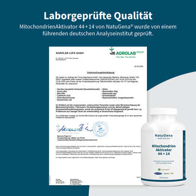 Sie sehen eine Packung NatuGena MitochondrienAktivator 44+14 Kapseln, Produktbild: 08 NatuGena MitochondrienAktivator 44+14 Kapseln, A-Nr.: 5901185 - 08