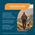 Sie sehen eine Packung NatuGena LipoVitamine 5000 Tropfen, Produktbild: 02 NatuGena LipoVitamine 5000 Tropfen, A-Nr.: 5178257 - 02