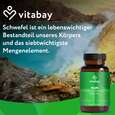 Vitabay MSM - Methylsulfonylmethan 1.000 mg, A-Nr.: 6049013 - 02