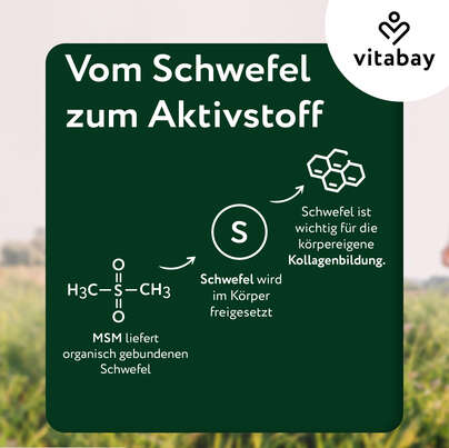 Vitabay MSM - Methylsulfonylmethan 1.000 mg, A-Nr.: 6049013 - 05