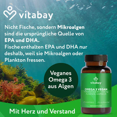 Vitabay Omega 3 vegan Hochdosiert - 1.100mg - Algenöl Kapseln, A-Nr.: 6049220 - 02