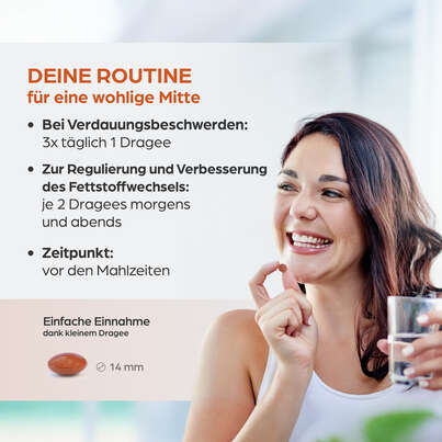 Dr. Böhm Artischoke, A-Nr.: 3516135 - 05