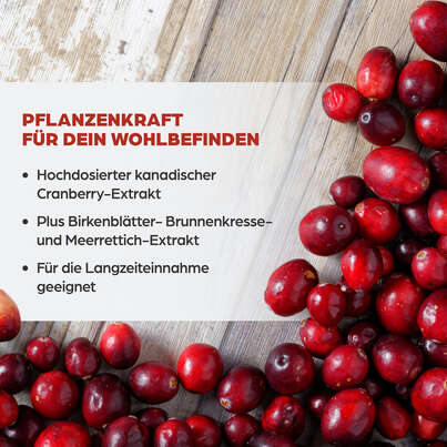 Sie sehen eine Packung Dr. Böhm Cranberry complex, Produktbild: 03 Dr. Böhm Cranberry complex, A-Nr.: 4846030 - 03