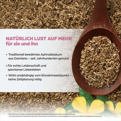 Dr. Böhm Damiana, A-Nr.: 4463205 - 03