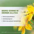 Dr. Böhm Johanniskraut, A-Nr.: 2426832 - 03