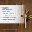 Dr. Böhm Magnesium nur 1 Dragee täglich, A-Nr.: 2576075 - 03