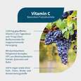Sie sehen eine Packung NatuGena Vitamin C Kapseln, Produktbild: 02 NatuGena Vitamin C Kapseln, A-Nr.: 5404185 - 02