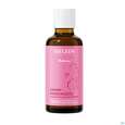 Weleda Damm-massageoel 50ml, A-Nr.: 2572870 - 07