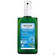 Sie sehen eine Packung Weleda Herbal Fresh Deo Spray Salbei 100ml, Produktbild: 04 Weleda Herbal Fresh Deo Spray Salbei 100ml, A-Nr.: 2315073 - 04